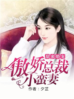 甜蜜婚宠:傲娇总裁小蛮妻