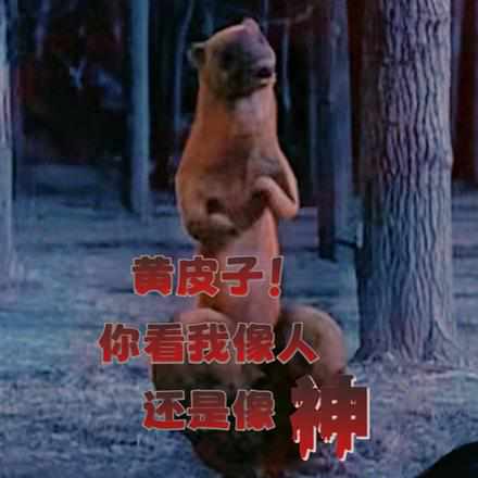 人皮子讨封,黄皮子都懵逼了