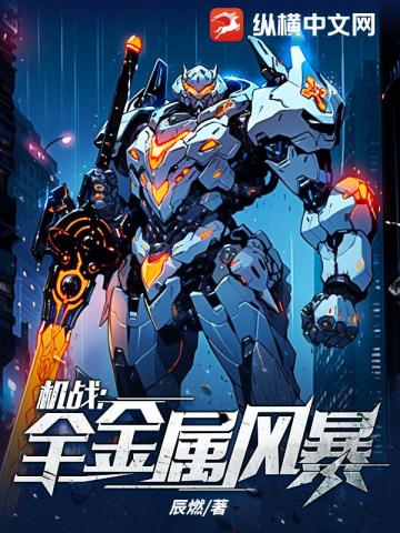 机战:全金属风暴