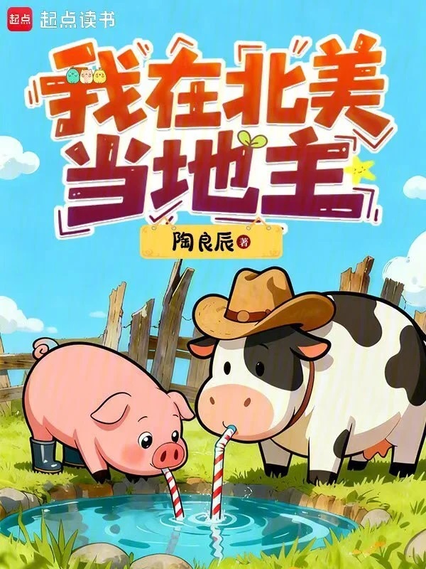 我在北美当地主