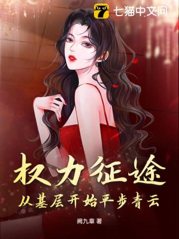 权力征途：从基层开始平步青云